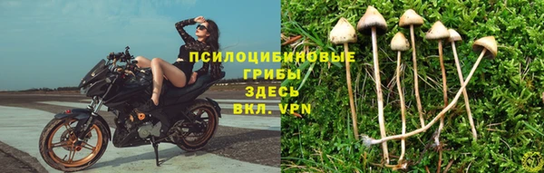 ALPHA PVP Богородицк