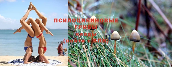 ALPHA PVP Богородицк