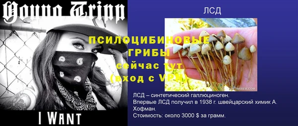 героин Богданович