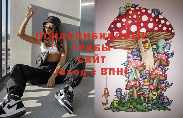 героин Богданович