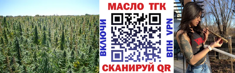 OMG tor Ижевск сайты даркнета формула ТГК концентрат